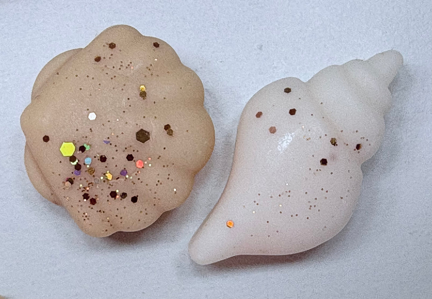 Autumn Woods & Pumpkin shells