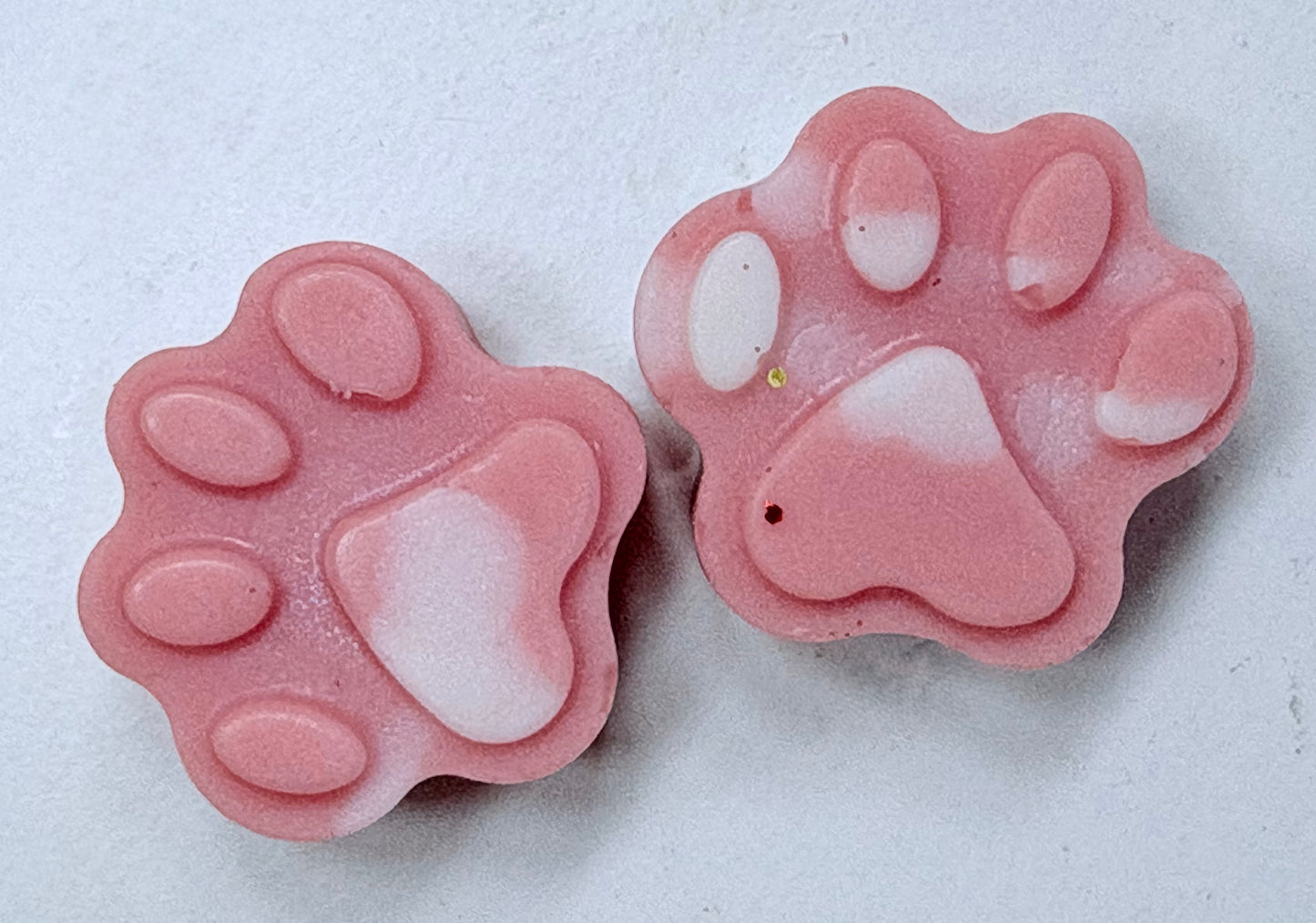 Light the Sky paws